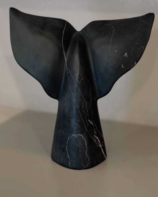 Cola de ballena grande